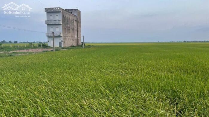 Hình ảnh 2 công đất mặt tiền đường TL871C gần biển Rạch Bùn, Tân Điền, Gò Công Đông, TG 3