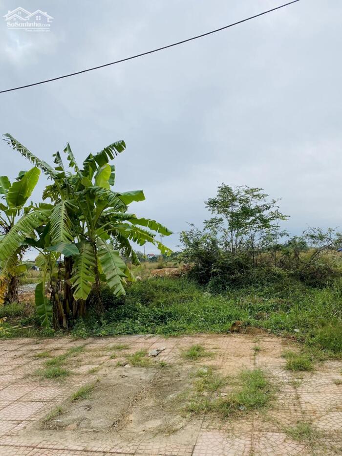 Hình ảnh Bán đất kinh doanh khu đấu giá Đống Lâu, Thanh Vân, Tam Dương, Vĩnh Phúc 0