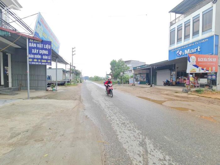 Hình ảnh Bán đất kinh doanh khu đấu giá Đống Lâu, Thanh Vân, Tam Dương, Vĩnh Phúc 1