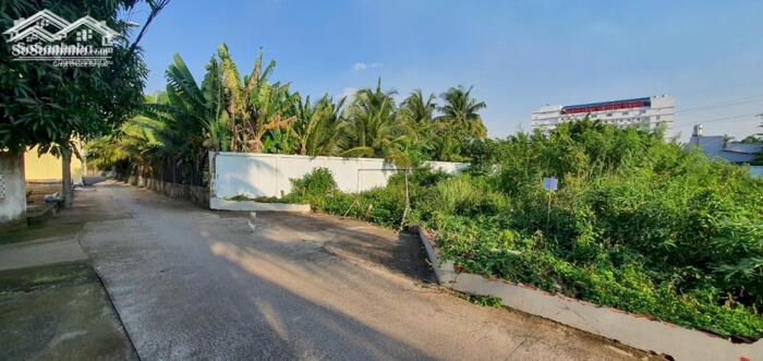 Hình ảnh Đất Phường 10 TP Mỹ Tho - Cách đường Lê Thị Hồng Gấm 50m - Giá 1,25 Tỷ Còn Thương Lượng Chính Chủ 3