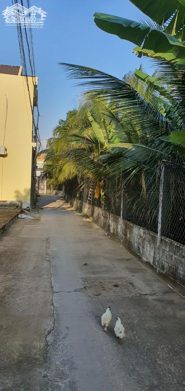 Hình ảnh Đất Phường 10 TP Mỹ Tho - Cách đường Lê Thị Hồng Gấm 50m - Giá 1,25 Tỷ Còn Thương Lượng Chính Chủ 6