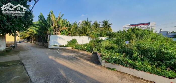 Hình ảnh Đất Phường 10 TP Mỹ Tho - Cách đường Lê Thị Hồng Gấm 50m - Giá 1,25 Tỷ Còn Thương Lượng Chính Chủ 2