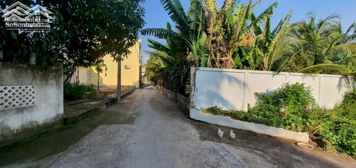 Hình ảnh Đất Phường 10 TP Mỹ Tho - Cách đường Lê Thị Hồng Gấm 50m - Giá 1,25 Tỷ Còn Thương Lượng Chính Chủ 4