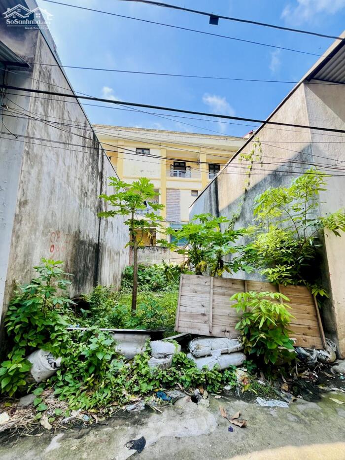 Hình ảnh Đất thổ cư phân lô 40,18 m² dành cho tổ ấm gia đình, Cổ Nhuế 2, Hà Nội! 1