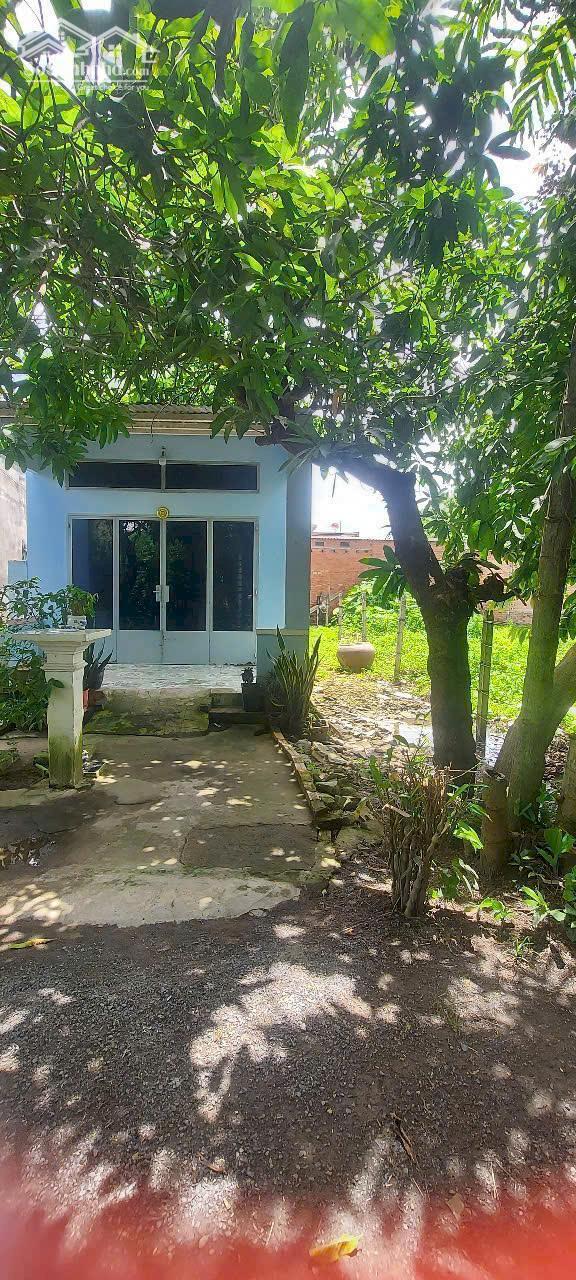 Hình ảnh Cần Bán Nhà 3mặt tiền đường Phường Biên Hoà ( Phường Bửu Hoà Cũ) 1