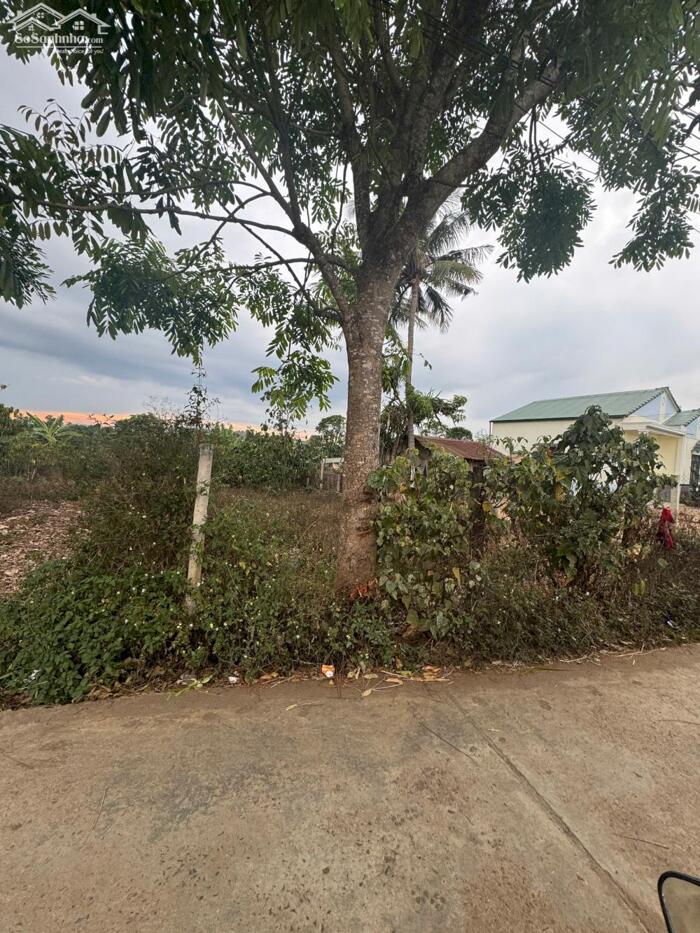 Hình ảnh CẮT LỖ BÁN NHANH MẢNH ĐẤT NỀN GẦN SÂN BAY VÀ ĐƯỜNG CAO TỐC LIÊN KHƯƠNG 2