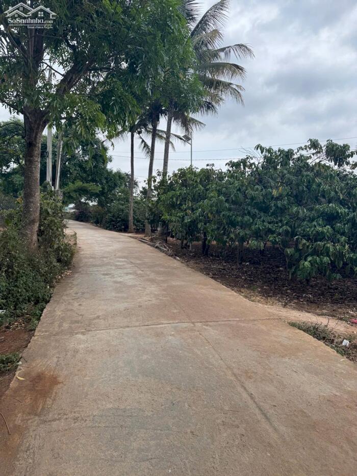 Hình ảnh CẮT LỖ BÁN NHANH MẢNH ĐẤT NỀN GẦN SÂN BAY VÀ ĐƯỜNG CAO TỐC LIÊN KHƯƠNG 0