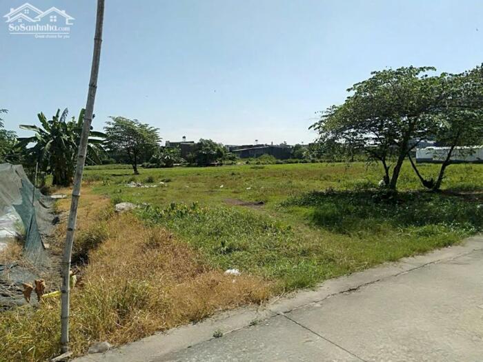 Hình ảnh Đất thổ cư 1/Bộ Đội An Điền-Vĩnh Lộc A-Bình Chánh.Dt 1200m2~22,5ty 0