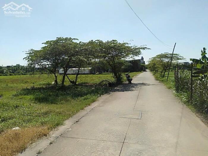 Hình ảnh Đất thổ cư 1/Bộ Đội An Điền-Vĩnh Lộc A-Bình Chánh.Dt 1200m2~22,5ty 1