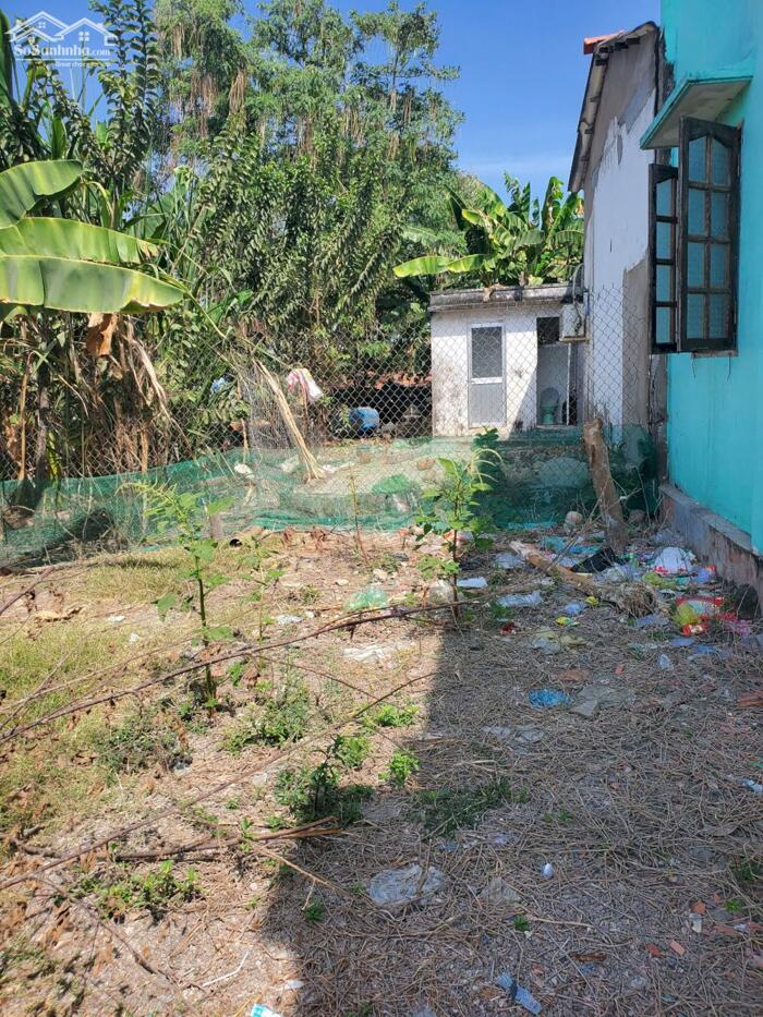 Hình ảnh Đất thổ cư 100m2 xã Tân Lân giá rẻ đầu tư 450tr 2