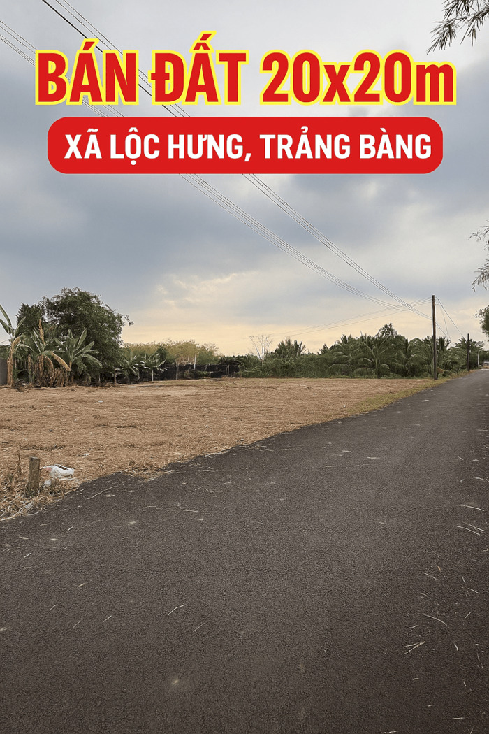 Hình ảnh Bán đất 20x20m xã Lộc Hưng Trảng Bàng – Sổ hồng riêng, gần cao tốc TP.HCM – Mộc Bài 0