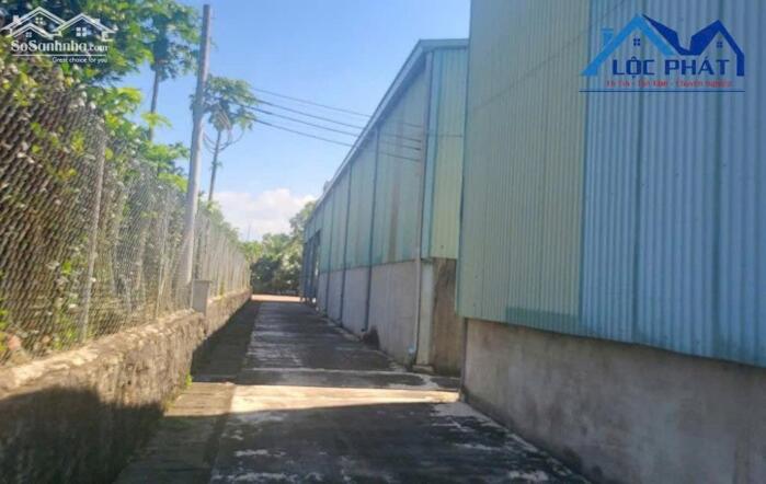 Hình ảnh Cho thuê nhà Xưởng tại Vĩnh Cữu Đồng Nai dt 5000m2 giá 220 triệu/ tháng 3