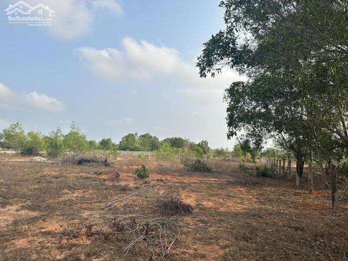 Hình ảnh CẦN BÁN 7.300m² ĐẤT LÔ 2 ĐƯỜNG 715 – GẦN SÂN BAY PHAN THIẾT 0