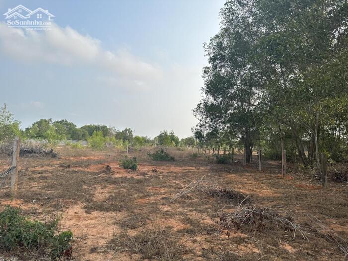 Hình ảnh CẦN BÁN 7.300m² ĐẤT LÔ 2 ĐƯỜNG 715 – GẦN SÂN BAY PHAN THIẾT 1