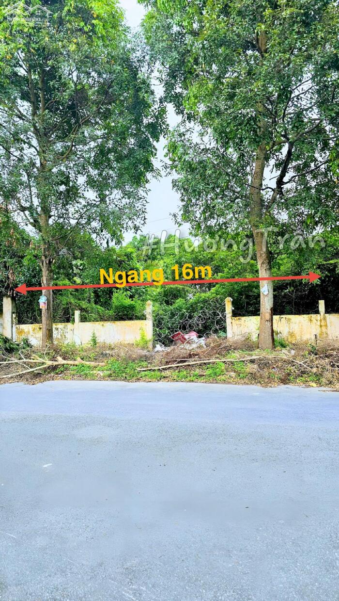 Hình ảnh 10 tỷ - BÁN NỀN BIỆT THỰ 400m2 MẶT TIỀN ĐƯỜNG SỐ 11, KDC PHÚ AN (Khu 586) 0