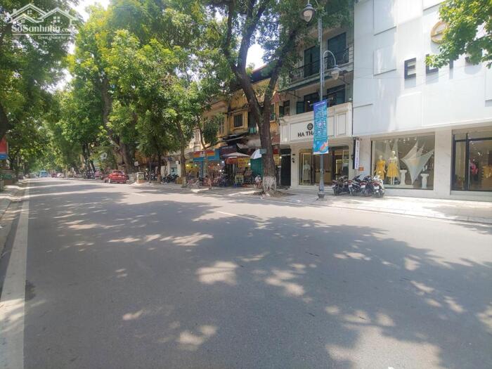 Hình ảnh Bán nhà Mặt Phố Bà Triệu, Lô góc, 6 tầng 80m2 0