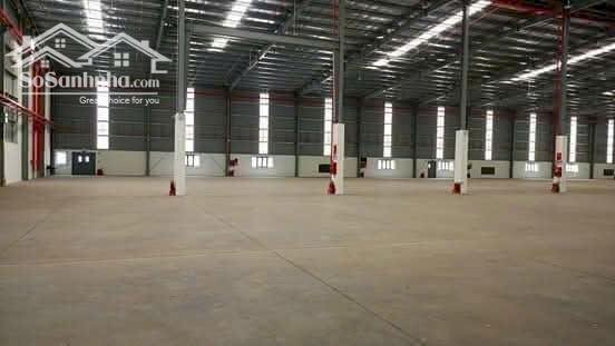 Hình ảnh Cho thuê kho 4.612m² tại KCN VSIP 1 – PCCC tự động 2