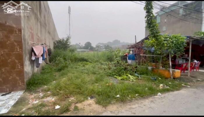 Hình ảnh CHÍNH CHỦ BÁN NHANH RA GẤP LÔ ĐÂT TRƯƠNG TIỂU HỌC TÂN ĐINH DTICH 5X42 SHR 1