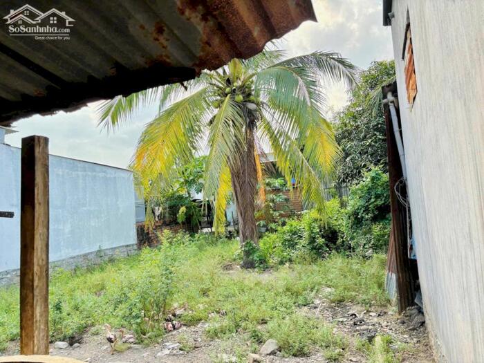 Hình ảnh Đất đẹp phù hợp xây biệt thự, nhà vườn Diên Điền 1