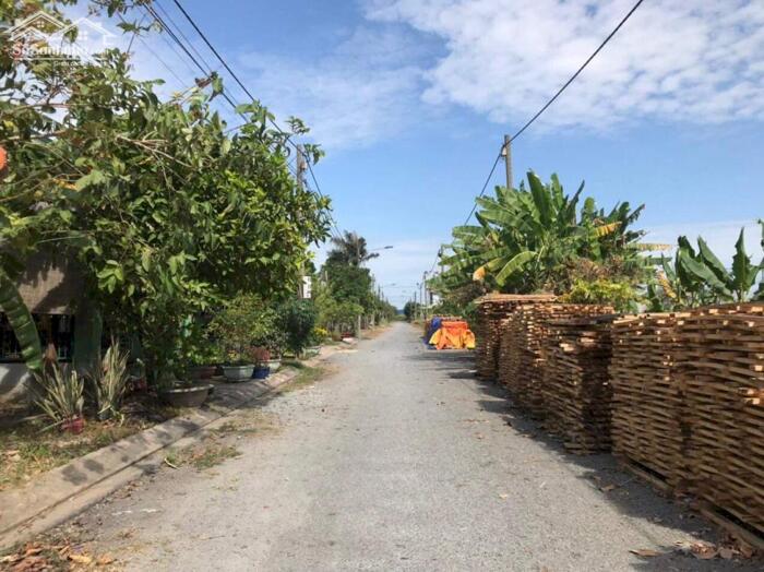 Hình ảnh Đất nền giá ngộp 2 nền liền kề 100m2 khu tđc Phước Đông giá rẻ đầu tư 810tr/nền 1