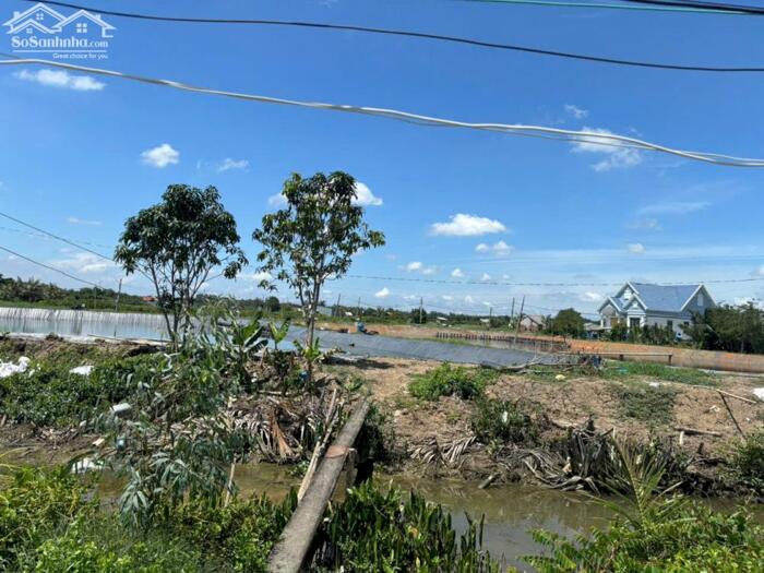 Hình ảnh Đất full thổ 609m2 mt View sông Vàm Cỏ xã Tân Chánh giá rẻ 700 trọn sổ 3
