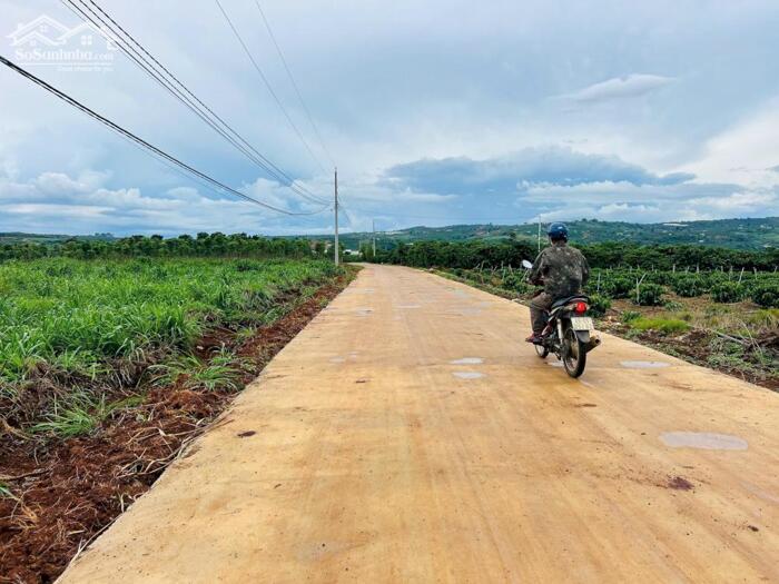 Hình ảnh Đức Trọng-Lâm Đồng đất full thổ cư mặt tiền đường bê tông rộng 6m giá chỉ 490tr/lô 2