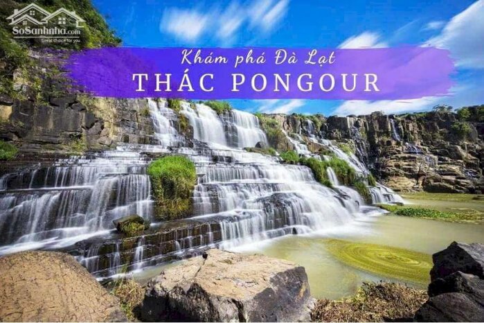 Hình ảnh Đức Trọng-Lâm Đồng đất full thổ cư mặt tiền đường bê tông rộng 6m giá chỉ 490tr/lô 4