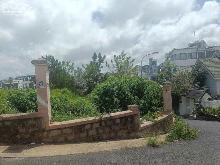 Hình ảnh Bán đất biệt thự 2 mặt tiền Đống Đa, Phường 3, TP. Đà Lạt – 548m², view thông đẹp 6