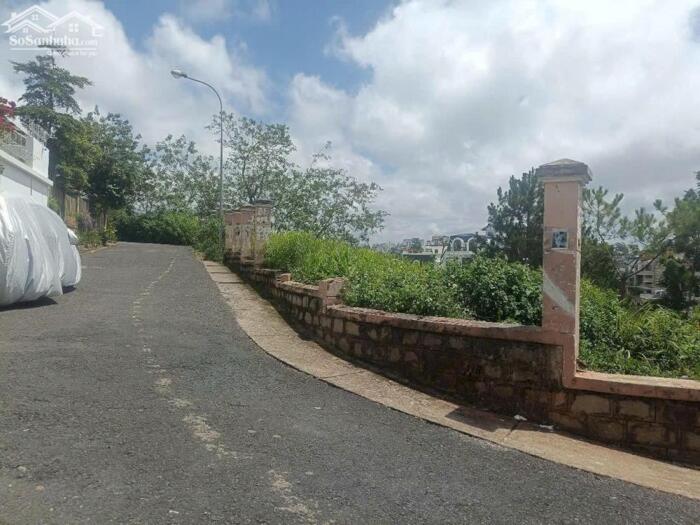 Hình ảnh Bán đất biệt thự 2 mặt tiền Đống Đa, Phường 3, TP. Đà Lạt – 548m², view thông đẹp 5