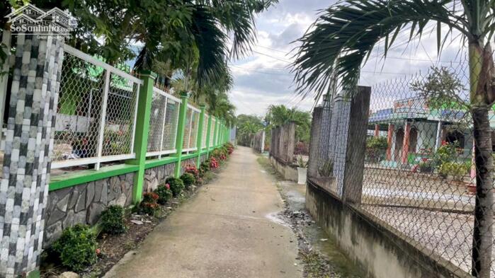 Hình ảnh 2500m2 đất thổ, vườn gần KCN Gia Thuận, Gò Công , Tiền Giang nay là tỉnh Đồng Tháp bán 3 tỷ 3