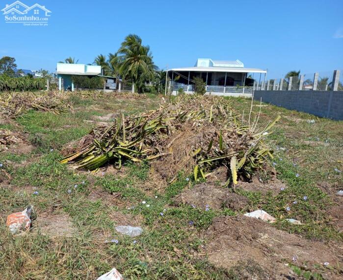 Hình ảnh Đất Ngộp-Minh Hoà-Hàm Thuận Nam(Hàm Minh cũ)-Lâm Đồng-2,4 sào+ 2,8 sào 2