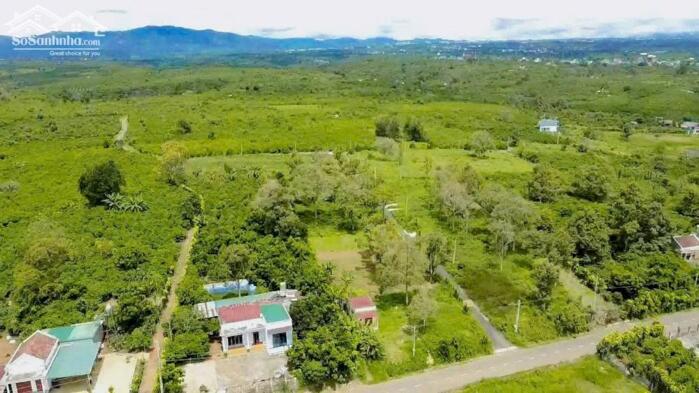 Hình ảnh Lộc An- Bảo Lâm- Lâm Đồng dt 259m2 sẵn 118m2 cách trung tâm Bảo Lộc chỉ 6km cách khu nghỉ dưỡng home nổi tiếng Bảo lộc chỉ 500m 0