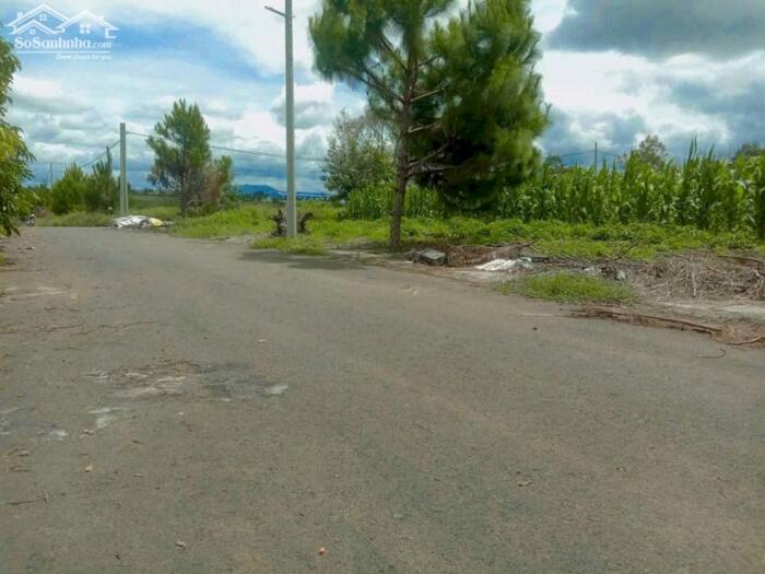 Hình ảnh Lộc An- Bảo Lâm- Lâm Đồng dt 259m2 sẵn 118m2 cách trung tâm Bảo Lộc chỉ 6km cách khu nghỉ dưỡng home nổi tiếng Bảo lộc chỉ 500m 2