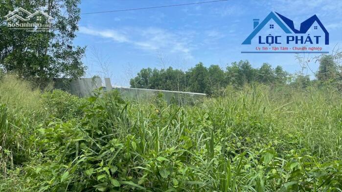 Hình ảnh Bán đất SKC 8.550m2 gần KCN Giang Điền Trảng Bom Đồng Nai giá 29.5 tỷ 2