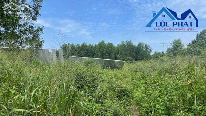 Hình ảnh Bán đất SKC 8.550m2 gần KCN Giang Điền Trảng Bom Đồng Nai giá 29.5 tỷ 1