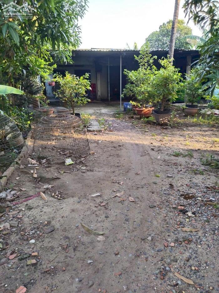 Hình ảnh Nhà nát 1/Tân Xuân 1-xã Hóc Môn.Dt 395m2 có 250m2 thổ cư~5,5ty 2