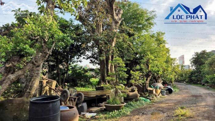 Hình ảnh Bán đất mặt tiền đường QL51-Long Thành 3000m2 giá 15 triệu/m2 4