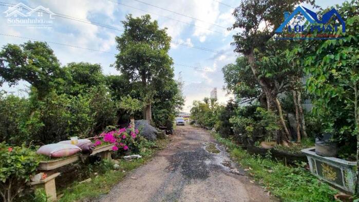 Hình ảnh Bán đất mặt tiền đường QL51-Long Thành 3000m2 giá 15 triệu/m2 5