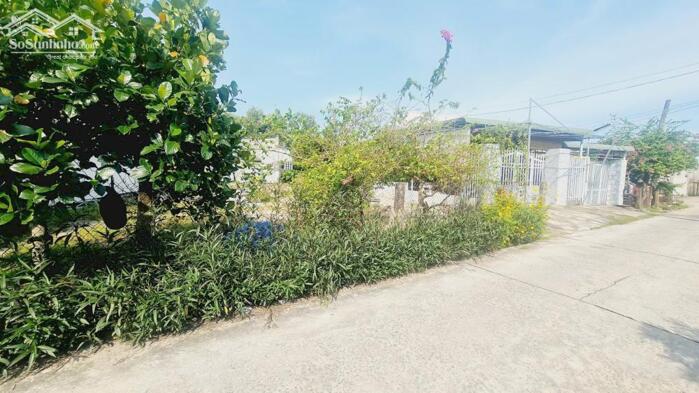 Hình ảnh bán đất thổ cư gần biển LaGi, Lâm Đồng. 178m2,đường ôtô, giá 950 triệu 4