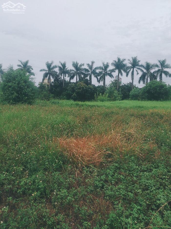 Hình ảnh Bán 6ha đất nhà xưởng tại Mỹ Hào, Hưng Yên 0