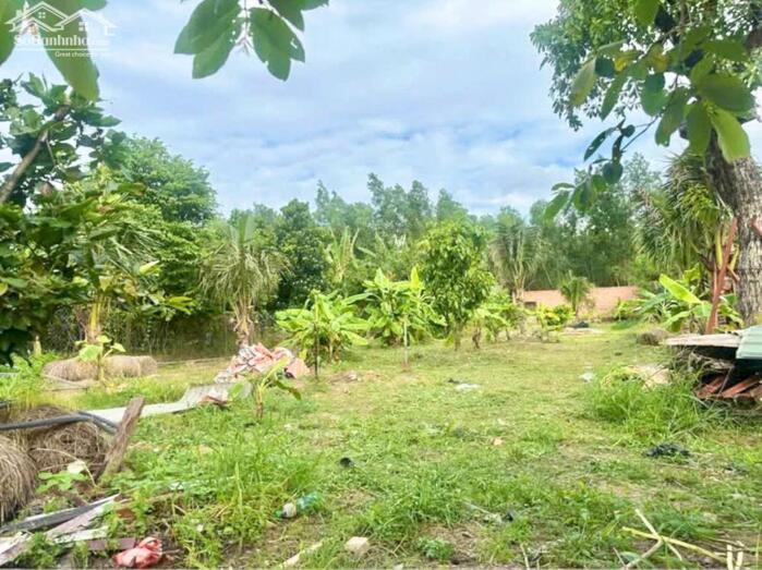 Hình ảnh Cần bán khu vườn nghĩ dưỡng giá: 3.TỶ.2 DT: 1.127m2 (hơn 1.Xào) sổ hồng 1