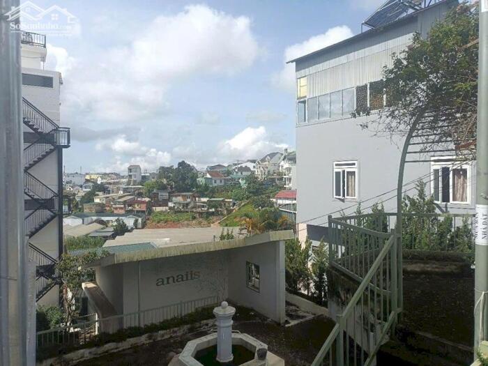 Hình ảnh Bán Đất Mặt Tiền Bạch Đằng, Phường 7, TP. Đà Lạt – Lô Góc Kinh Doanh Đẹp, View Thung Lũng 1