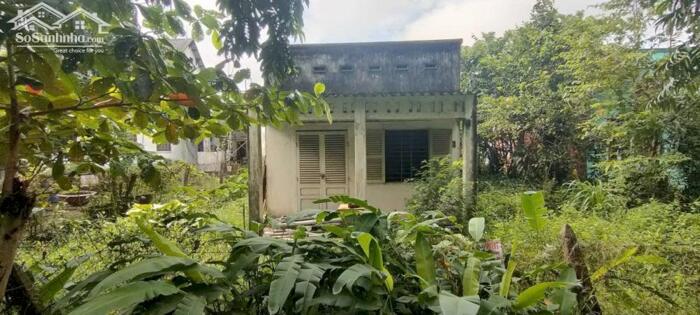 Hình ảnh Nhà nát 1/Phạm Thị Trích-Bình Mỹ-Củ Chi.Dt 586m2 có 69m2 thổ cư~5,3ty 2