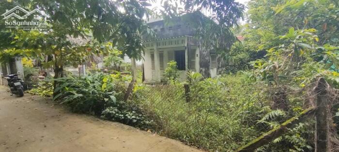 Hình ảnh Nhà nát 1/Phạm Thị Trích-Bình Mỹ-Củ Chi.Dt 586m2 có 69m2 thổ cư~5,3ty 1
