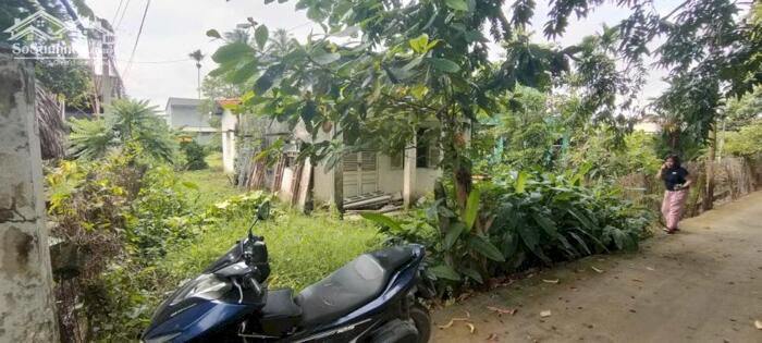 Hình ảnh Nhà nát 1/Phạm Thị Trích-Bình Mỹ-Củ Chi.Dt 586m2 có 69m2 thổ cư~5,3ty 0