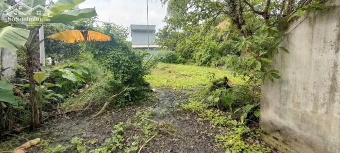 Hình ảnh Nhà nát 1/Phạm Thị Trích-Bình Mỹ-Củ Chi.Dt 586m2 có 69m2 thổ cư~5,3ty 5