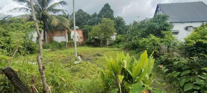 Hình ảnh Nhà nát 1/Phạm Thị Trích-Bình Mỹ-Củ Chi.Dt 586m2 có 69m2 thổ cư~5,3ty 4