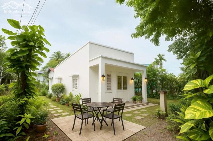 Hình ảnh Nhà nát 1/Phạm Thị Trích-Bình Mỹ-Củ Chi.Dt 586m2 có 69m2 thổ cư~5,3ty 9