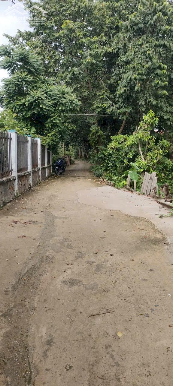 Hình ảnh Nhà nát 1/Phạm Thị Trích-Bình Mỹ-Củ Chi.Dt 586m2 có 69m2 thổ cư~5,3ty 6