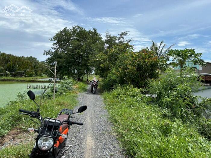 Hình ảnh Đất vườn 669m2 mt đường 5 mét View sông Vàm Cỏ xã Long Hựu rẻ 650tr 2